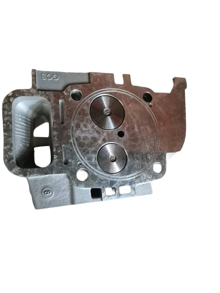 erasebg-transformed (24).webp