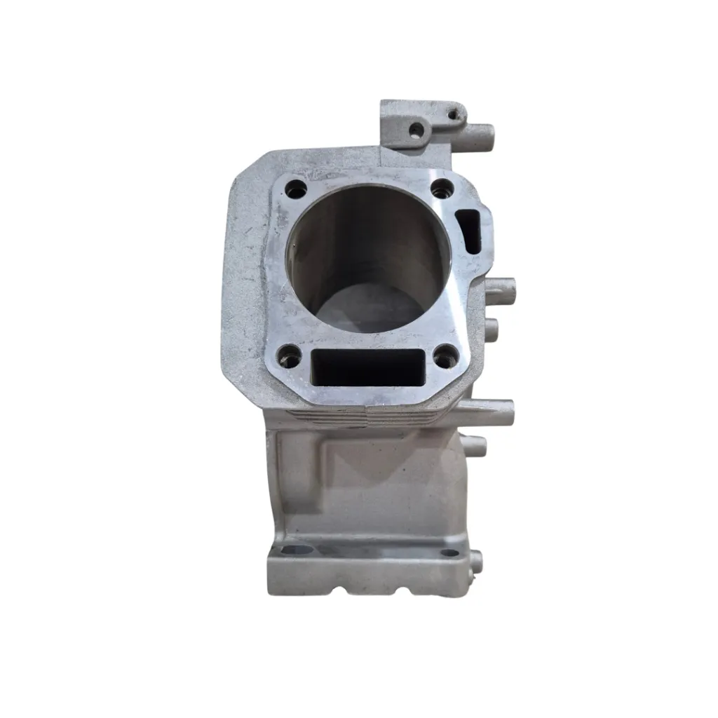 170 F crankcase (4).webp