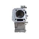 170 F crankcase (4).webp