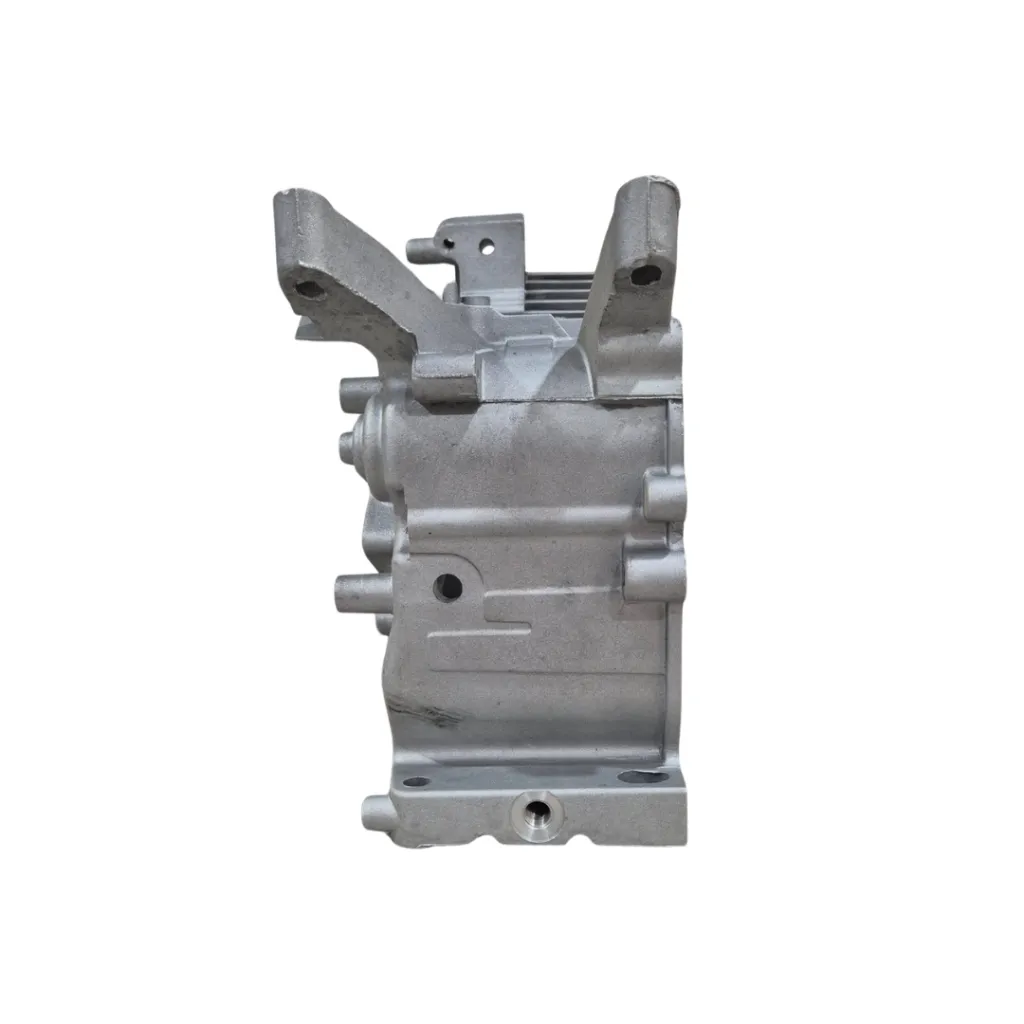 170 F crankcase (2).webp
