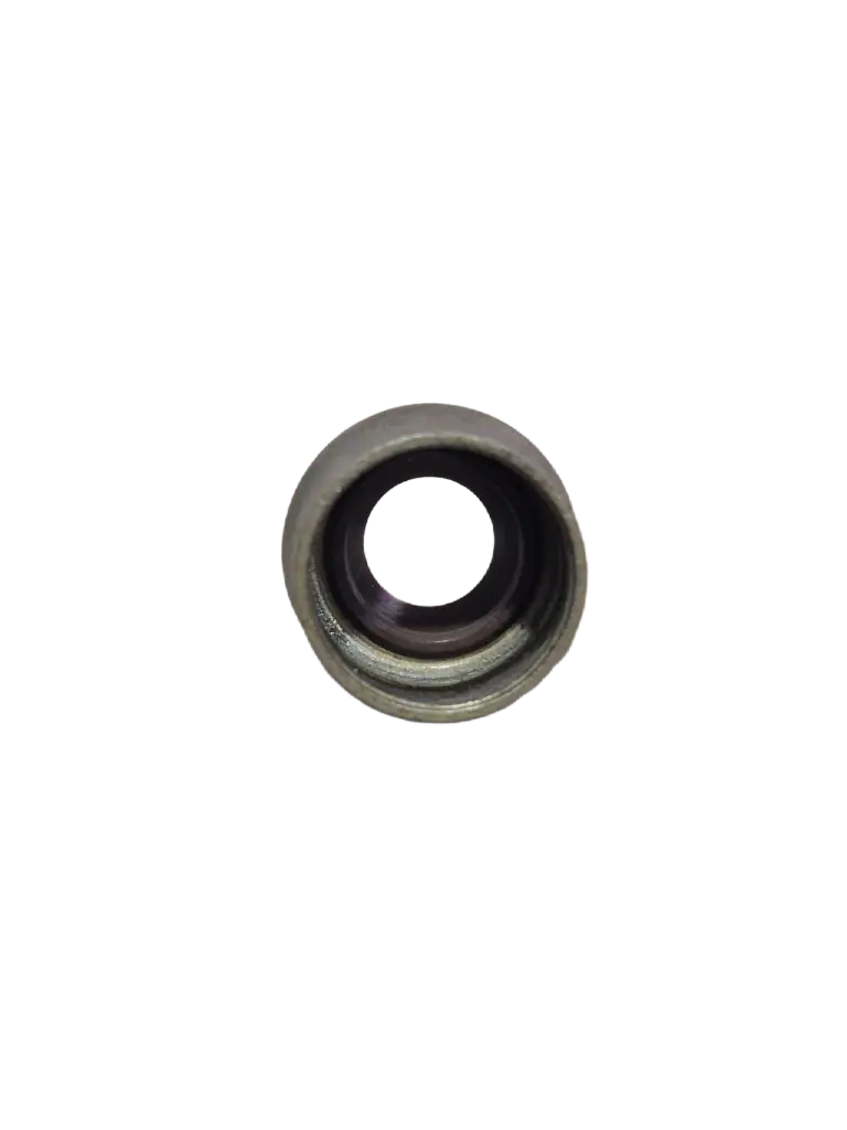 WhatsApp Image 2025-08-15 at 16-remove-bg-io (1).webp