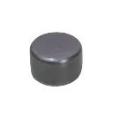 valve cap (1).webp