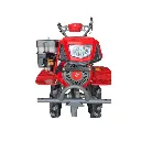 worrior 02 (3).webp