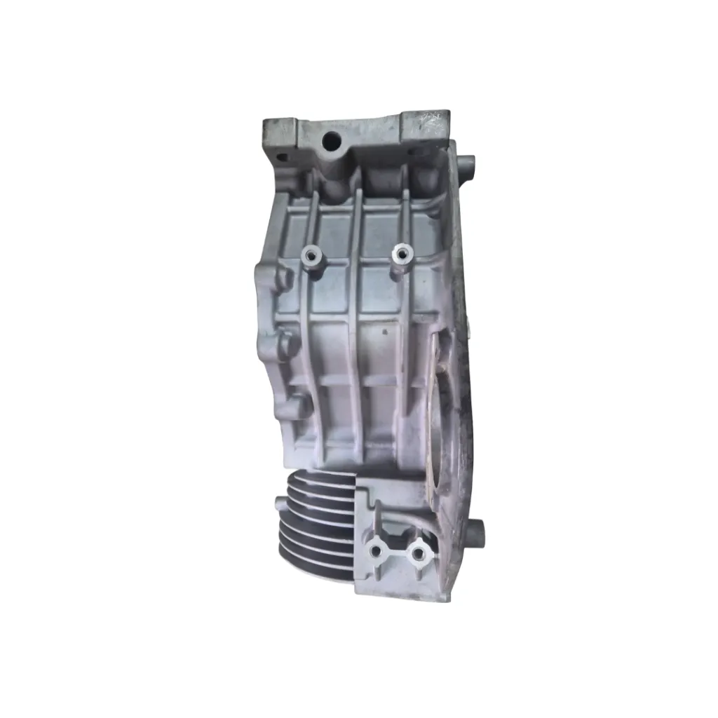 crankcase 173F 2.webp