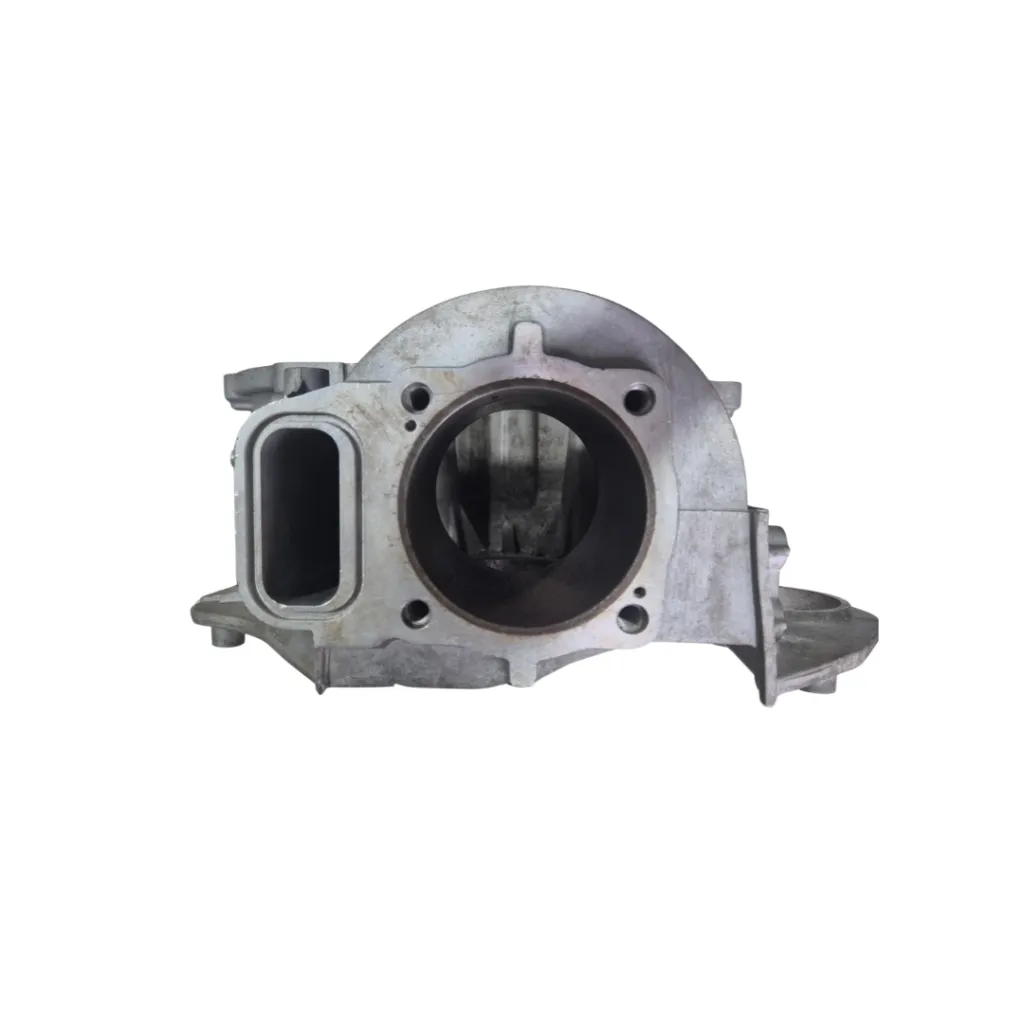 crankcase 173F 3.webp
