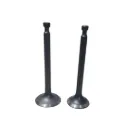 177F 9HP, Exhaust Valve Set 4 Stroke Assembly