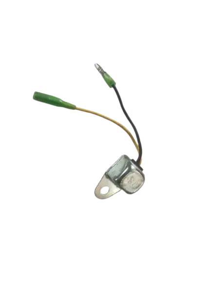 Temperature Switch