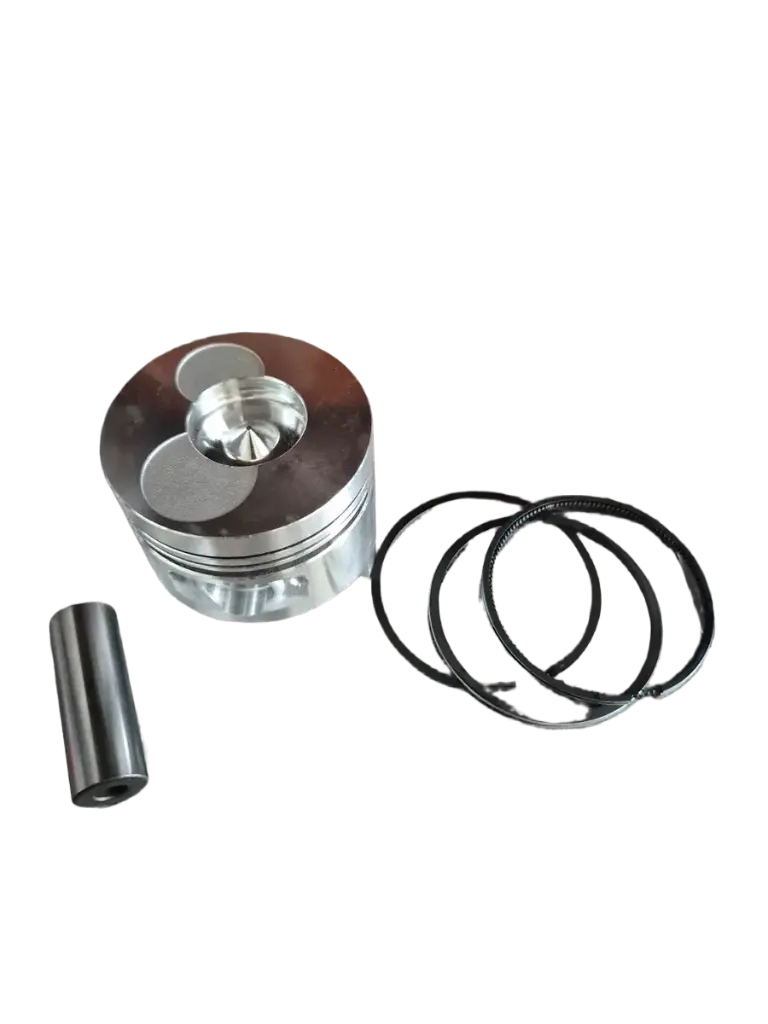 Piston (With ring, clip)(Diesel)