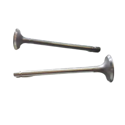 Intake/Exhaust Valve, For 4 stroke 9 HP (186F) Diesel  Tiller / Cultivator