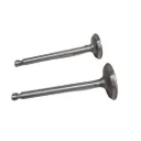 Engine Valve Set 173F 5-7HP Diesel Engine Power Weeder Cylinder Head Valves