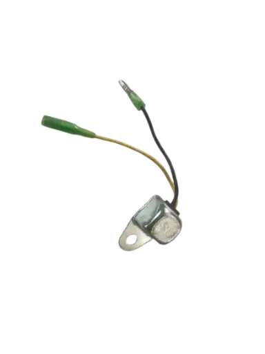 Temperature Switch