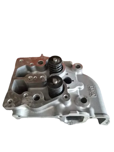 Cylinder head complete set (Diesel)