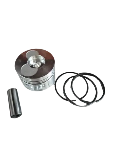 Piston (With ring, clip)(Diesel)